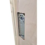 Ytterdörr anpassad för panel